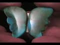 Valley Blue Turquoise Butterfly Wing Cabochons Video