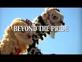 Living Traditions Productions proudly presents the first Beyond the Pride Lion Dance Exhibition set to be held in Southern California on November 7, 2009. We welcome everyone from far and wide. If you can make it to this event then we invite you to join us! As Lion Dancers ourselves, we know that pride is an integral part of the Lion Dancer life style: pride in one's traditions, pride in one's team, and pride in one's craft. Living Traditions Productions hopes to provide an open arena to display the best of our proud art form to the community. LTP also hopes to foster brotherhood and sportsmanship between teams, encouraging participants to go beyond one's pride and interact and learn from each other. ----------- We would like to introduce the 