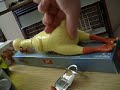 Chicken porn