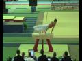 videos de Gym SUC cheval d'arçons ludovic Maechling liévin mai 2009 0001