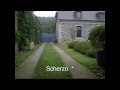 sillas de ruedas para perros.wmv