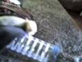videos de Troy Botones