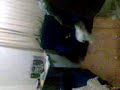 fierro -