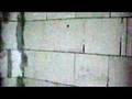 Nioking & Paddo - The Second One (P.N. Videos.)