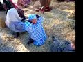 pessebre vivent escola vedruna de sallent