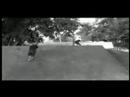 theLOLBURGERS scooter video. theLOLBURGERS scooter video.