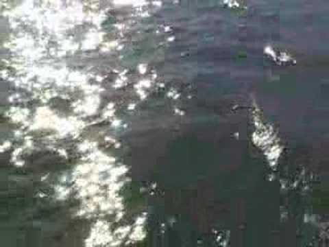 Yabrat - Ivan Petros Chaldean ...