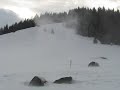 Dramat na rusinowej polanie Dramat na rusinowej polanie