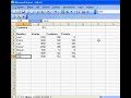 Aplicando filtros en Excel 2003