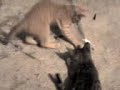 Sakito and Yomi having fun