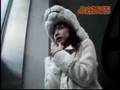 Polar-Bear