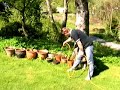 urtehagen til audun (naturopat)