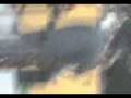 videos de MOV00001.3gp