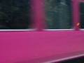 videos de Spondon Derbyshire(pt23)