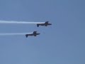 Halcones Fidae 2008 Halcones Fidae 2008
