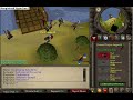 this is me, dragonpker, playing world 1 pest control.
everyone was there to play and got many points because we kept
playing and playing.
well, hope you like my video!
xscape.crazy4us.com-forum website
there are 2 worlds.
world 1-client
world 2-508
forums website shows the links and if it is online or offline.
i hope you join!