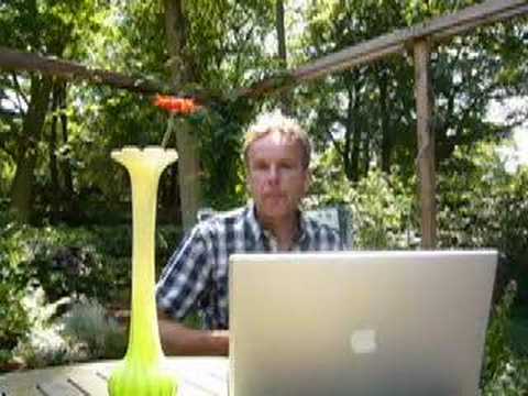 Biophotons: a critical appraisal by ...