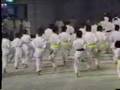 1990 Okinawan Karate ~ Kobudo Festival #1
