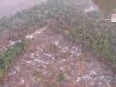 greenepace registra imagens a�reas de queiamdas no mato grosso. dia 29 de agosto de 2008.