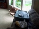 Trial video with Flip camera