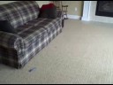 Trial video with Flip camera