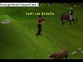 runescape:hot to kill a cow