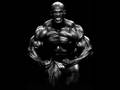 The-two-BIGGEST-Body
