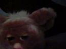 Welcome to furbyville/My cute furbies part 1