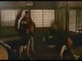 The Best video of Zatoichi