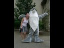 6flags