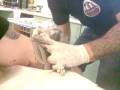 videos de GHIGO TATTOO IN PROGRESS