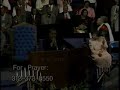 All Day, All Night - Festival of Flower Prayer - Clay Evans All Day, All Night - Festival of Flower Prayer - Clay Evans
