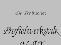 Profielwerkstuk Trebuchet
