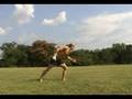 Aerial Cartwheel Tutorial By Jujimufu