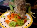 Mi Iguana Verde-Sombra Gris-comiendo y bailando, Versión 2.0 Mi Iguana Verde-Sombra Gris-comiendo y bailando, Versión 2.0