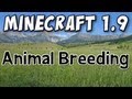 Minecraft - Animal Breeding (1.9 Prerelease Part 5)