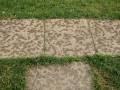 videos de Rain, art, doc, documentary, patterns, life, sidewalk, cement, grass,