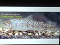 What will the Climate Crisis Mean for Public Health in Utah? - Ecosystems - Frederic H. Wagner, PhD