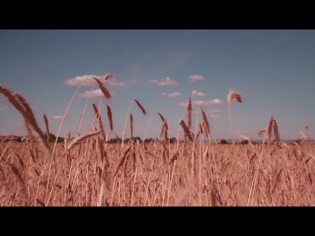 VideoCover