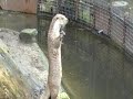 Middagje Diergaarde Blijdorp