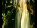 ANTALYA ALANYA DEMIRTA� BELGESELI 1