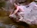 videos de El oso pardo