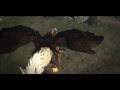 PS3・XB360 Dragon's Dogma グリフィン戦 グリフィン