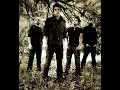 Rammstein - Amerika (cover) by Javo