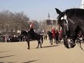 HORSE GUARDS PARADE