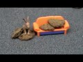 YouTube - Cookie Weichen im Affiliate-Marketing Video