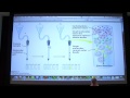 #06 Biochemistry Protein Purification Lecture for Kevin Ahern's BB 450/550
