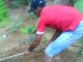 fazenda da minha vó 07
