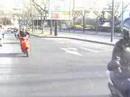 The Race
