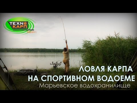 гиг. карп рыбалка гиг. карп рыбалка